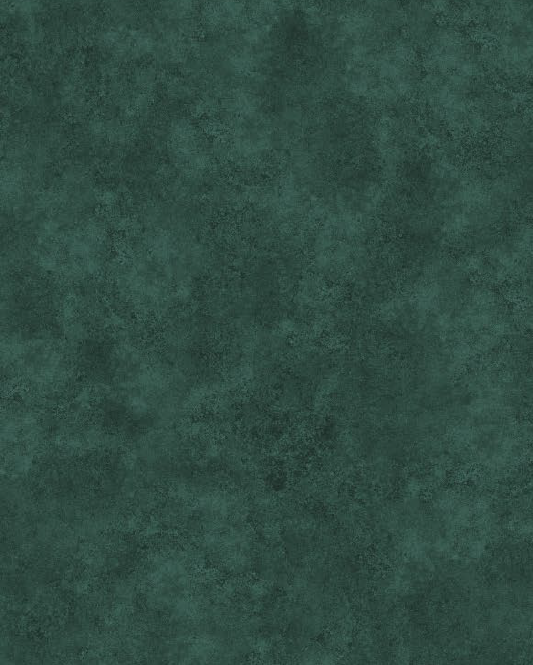 BL51005