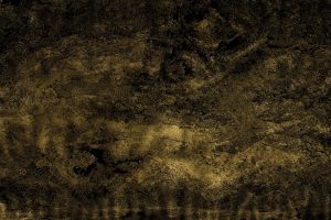 Cal Grey With light (1)