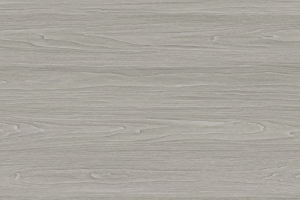 BL8005
